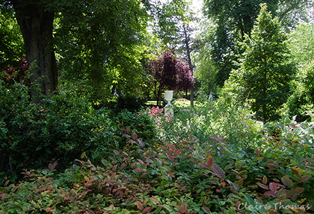 Green lush walk Versailles
