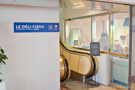 Printemps escalator Deli Cieux