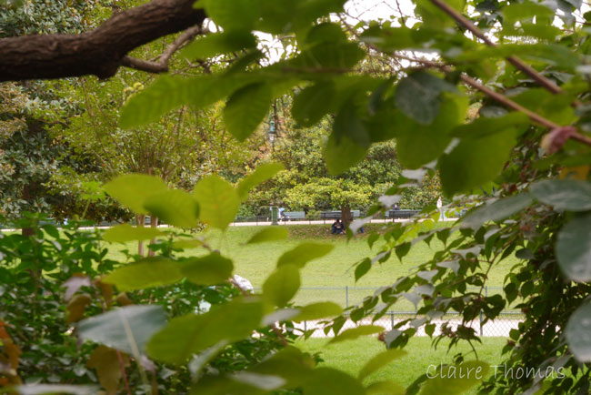 Paris Parc Monceau grass