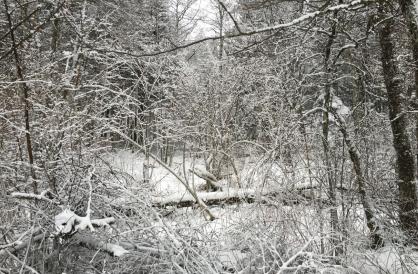 Hotel de Ville Paris Nuit Blanche