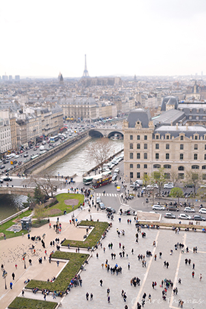 Notre Dame Eiffel Tower