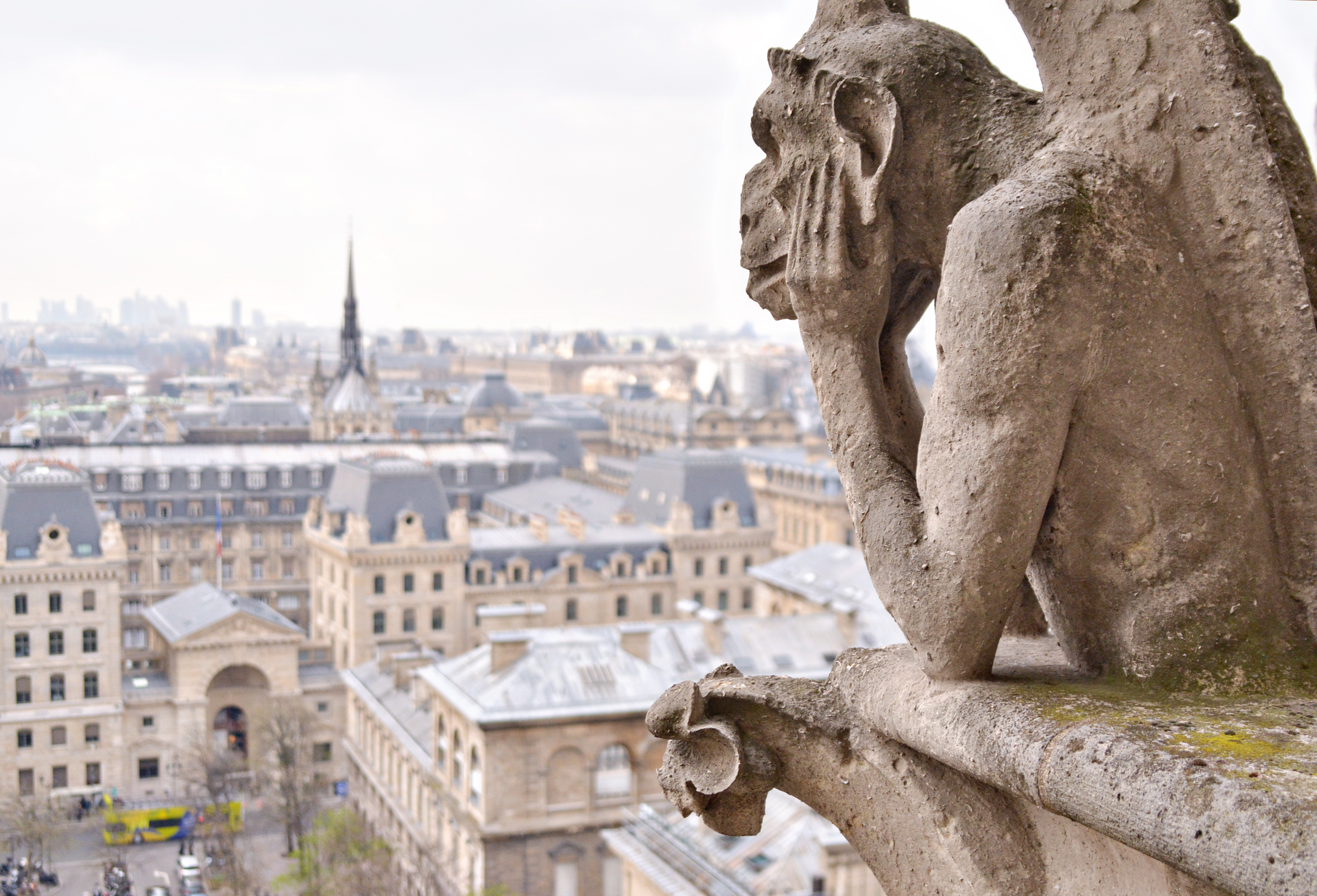 Notre dame view